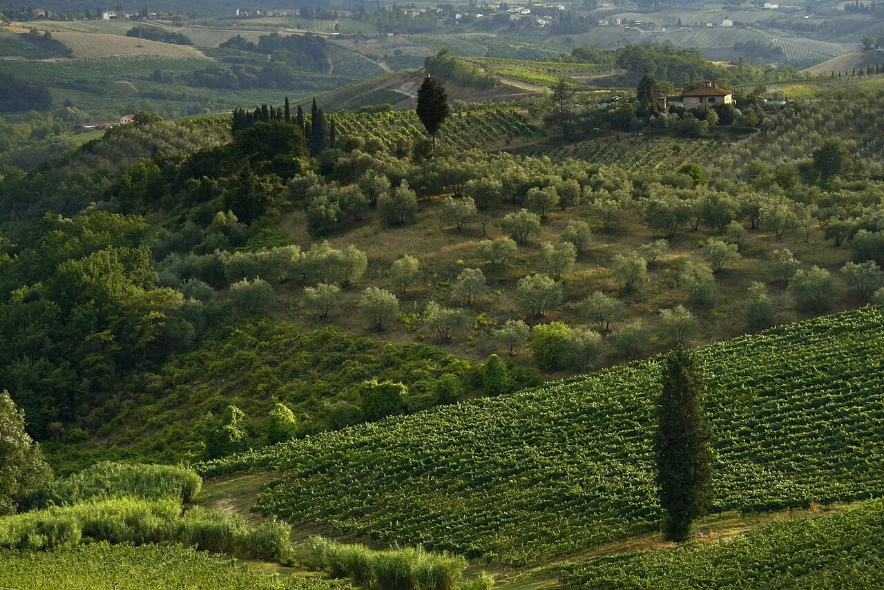 The Chianti countryside in Tuscany